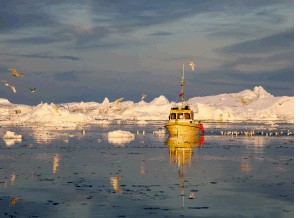 TORKOV VEČER S KNJIŽNICO: Grenlandija – zelena in ledena