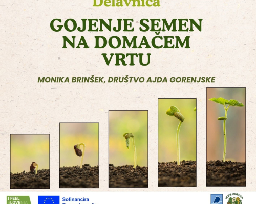 Delavnica za odrasle: Gojenje semen na domačem vrtu (Železniki)